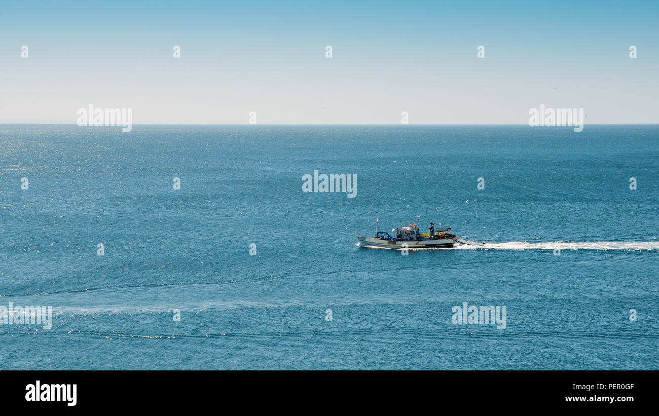 Bateau de pêche minimaliste de retourner au port d'accueil avec beaucoup de mouettes au Portugal Banque D'Images