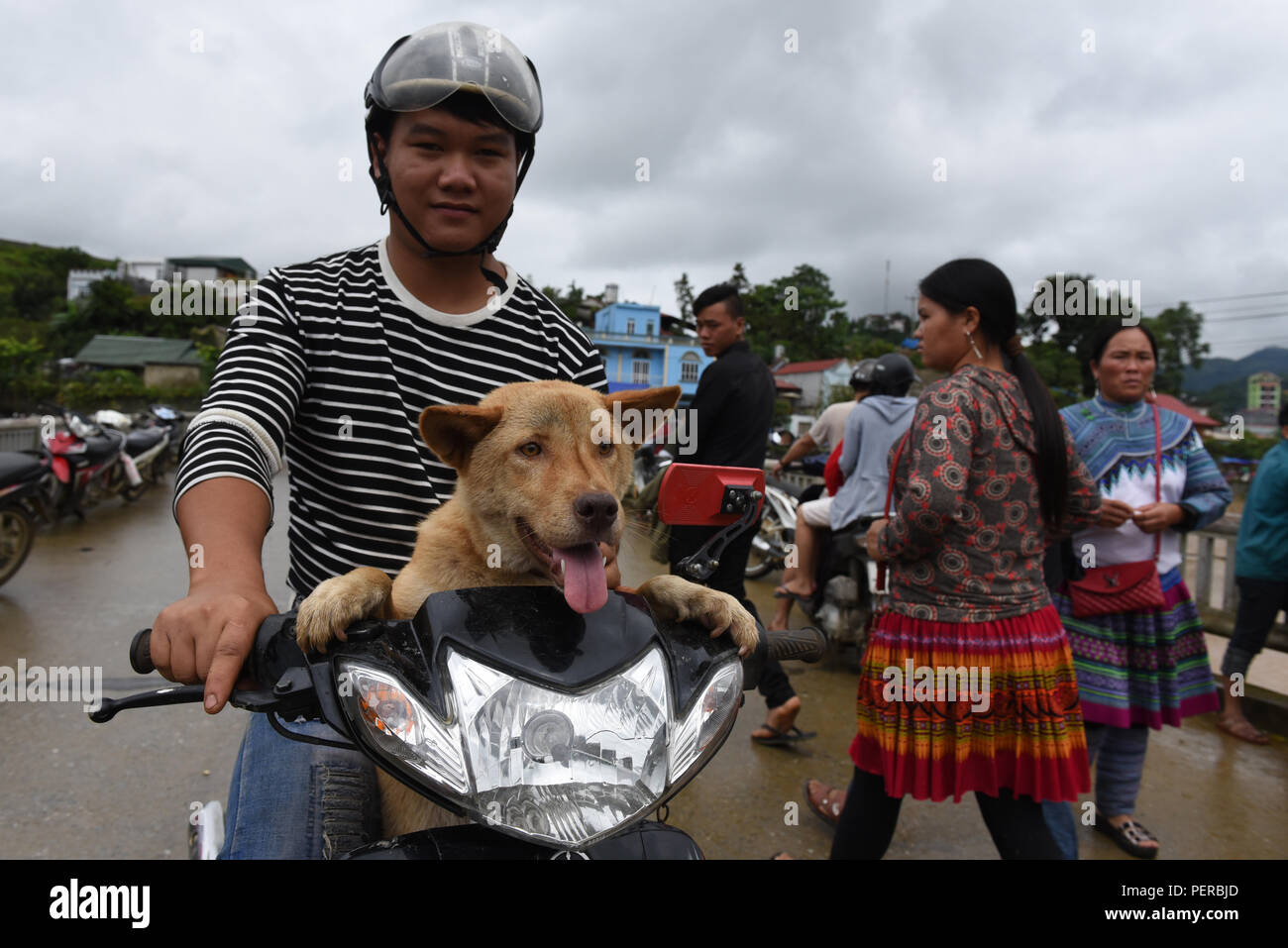 Bac Ha, au Vietnam. Le 05 août, 2018. Un homme porte son chien sur sa moto à l'hebdomadaire 'HA' Bac à Bac Ha marché, Lao Cai Province, Vietnam. Plusieurs minorités ethniques qui vivent dans les régions montagneuses du nord-ouest du Vietnam, se rassemblent à ce marché pour acheter et vendre une grande variété de biens et de bétail. Credit : Jorge Sanz/Pacific Press/Alamy Live News Banque D'Images