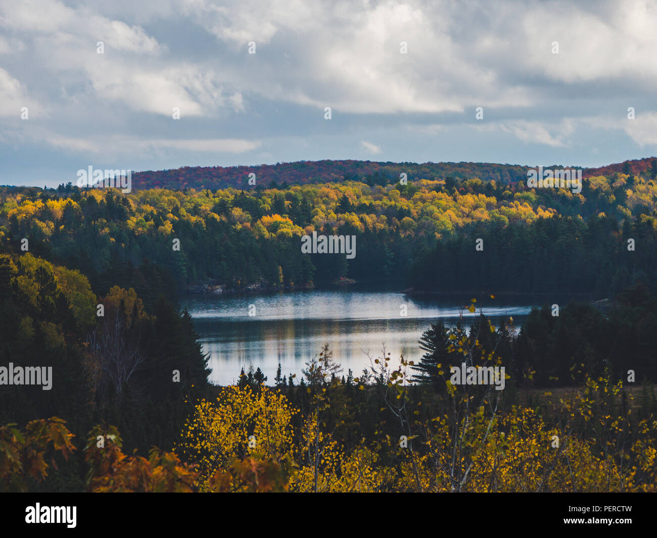 Paysage d'automne canadien typique avec coloful automne arbres forestiers et du lac au cours de l'automne, le parc Algonquin, Canada Banque D'Images