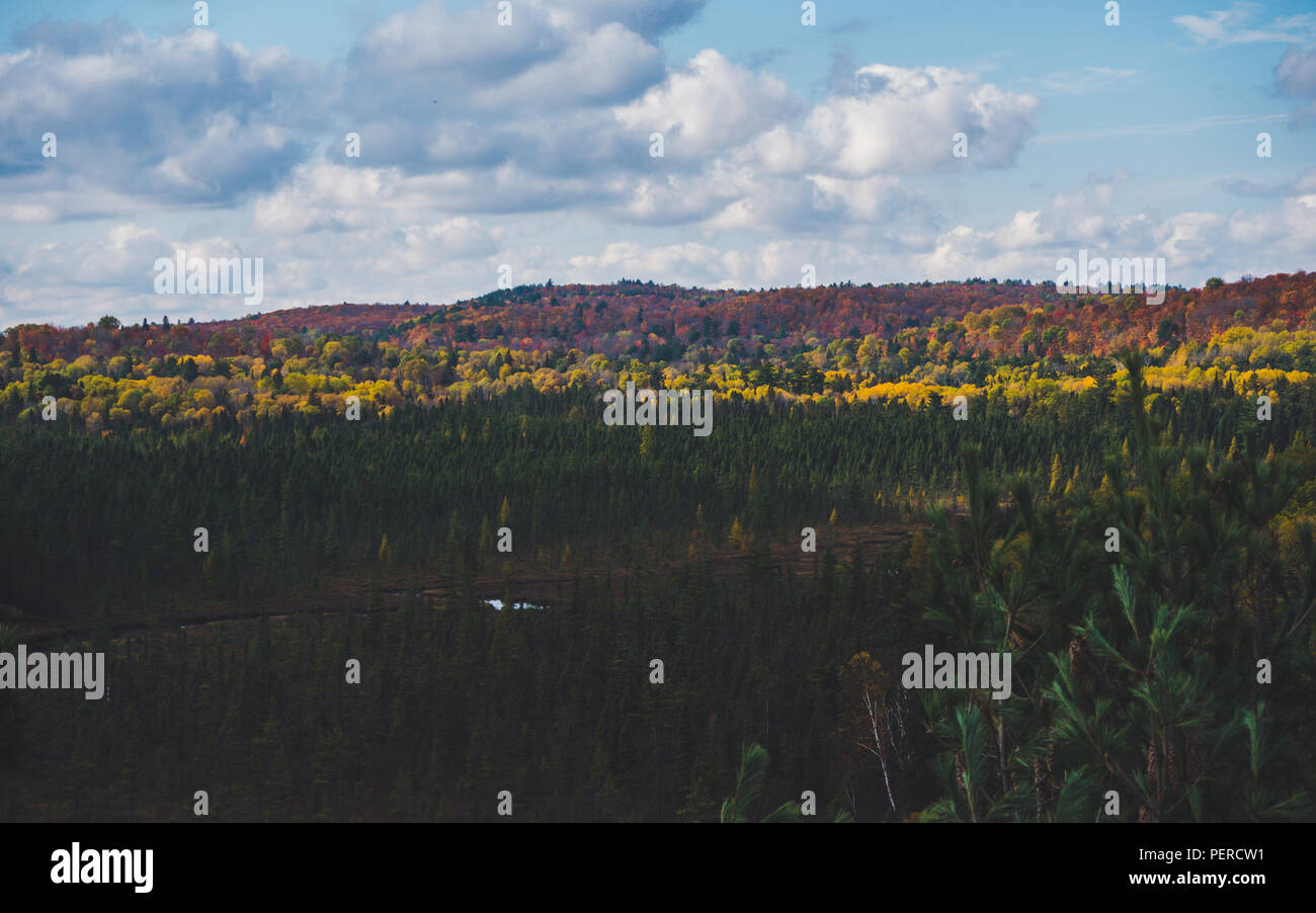 Belle vue sur la campagne canadienne typique paysage avec autumn forest dans le parc Algonquin, Canada automne Banque D'Images