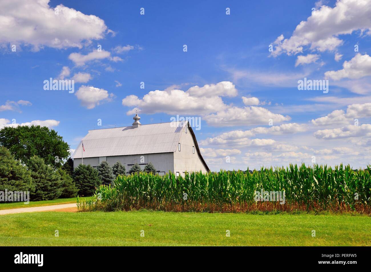 Creston, Illinois, USA.Grange moderne en métal dans le centre-nord rural de l'Illinois, en face d'une culture de maïs mûre. Banque D'Images