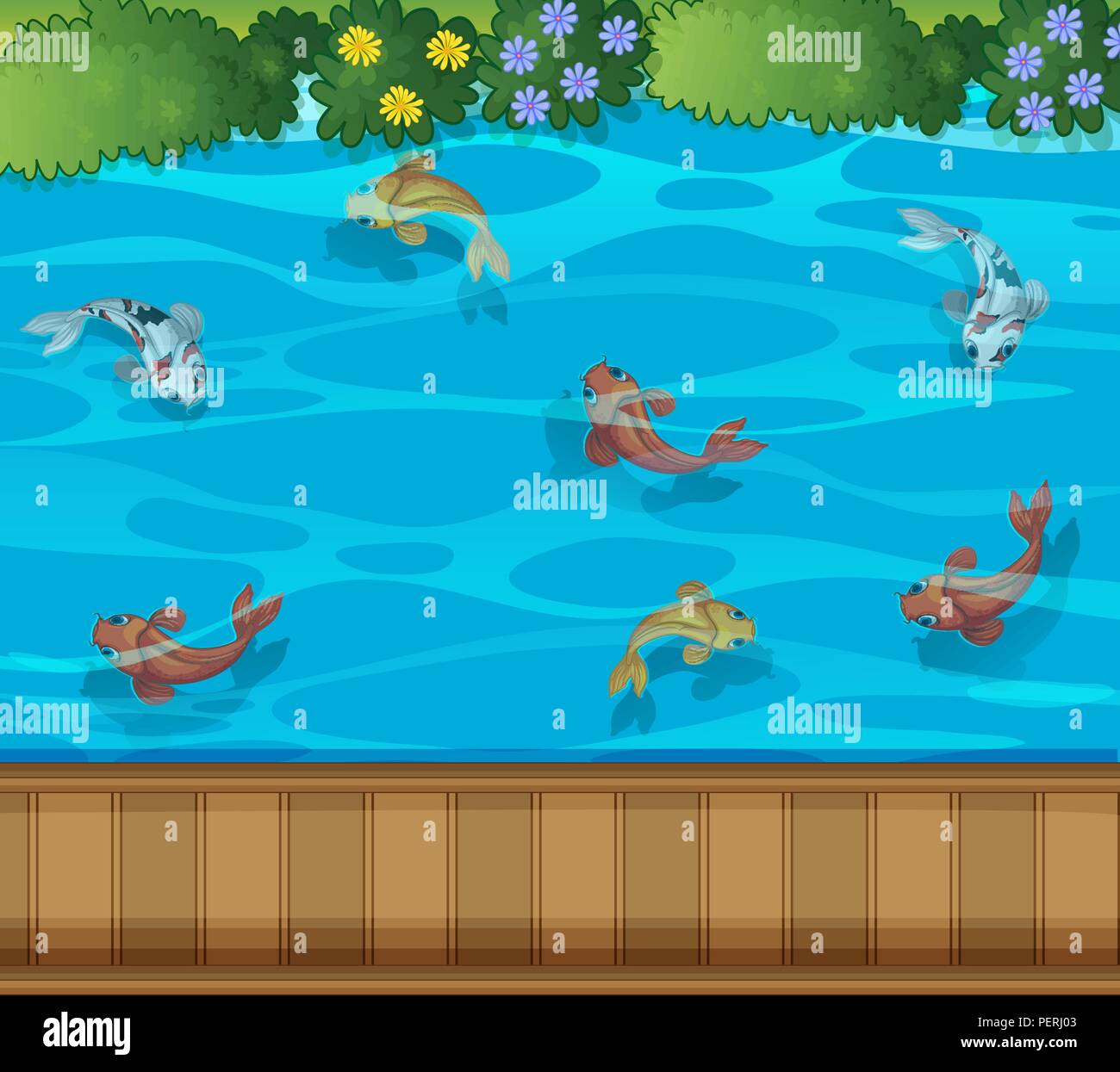 Poisson Koi étang vue aérienne illustration Illustration de Vecteur