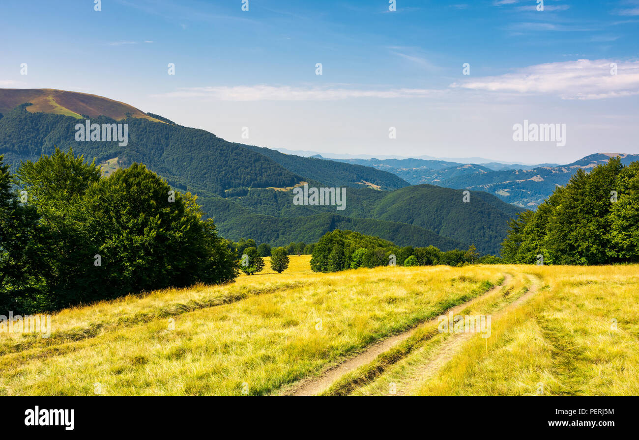 Route de campagne en bas de la prairie alpine . beau paysage d'été dans les montagnes Banque D'Images