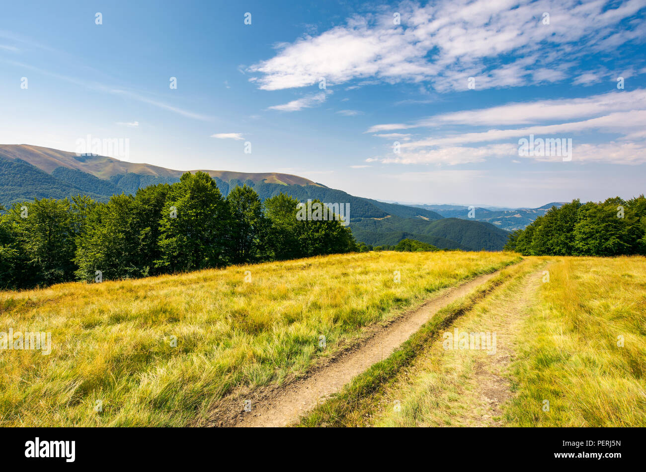 Chemin de terre à travers pré alpin entre forêts de hêtres. été merveilleux. paysage de montagnes lointaines sous un ciel bleu avec des nuages Banque D'Images