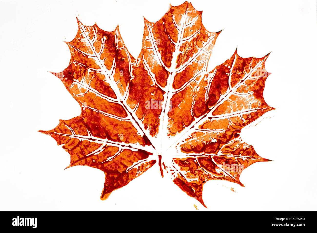 Feuille D Automne Imprimer Sur Du Papier Blanc Photo Stock Alamy