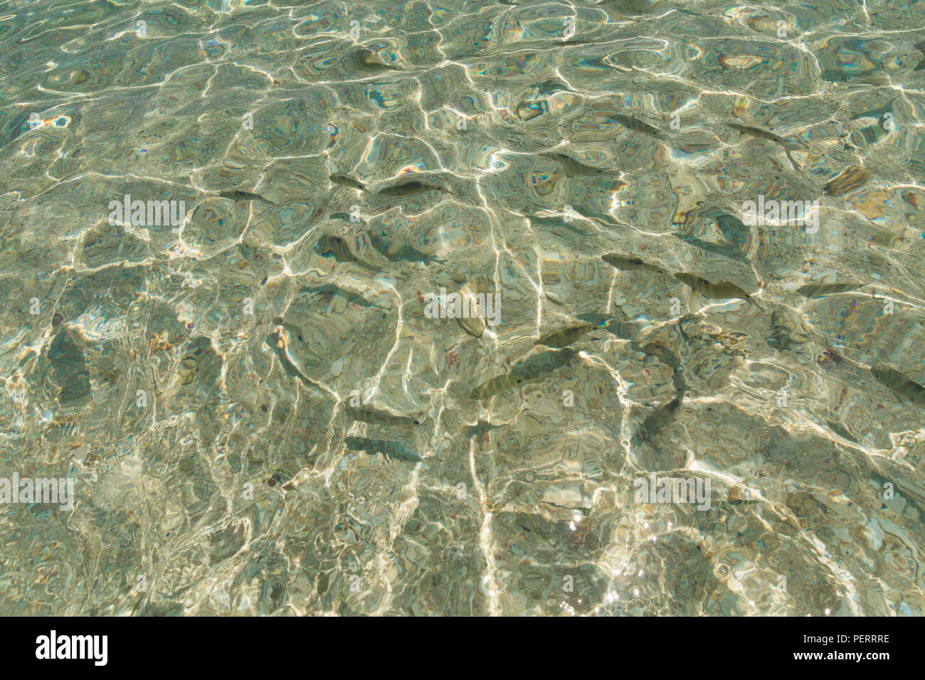 Photo de l'étonnante de l'eau claire comme du cristal, et les poissons nageant dans les eaux peu profondes de la partie brillante plage immaculée de l'île de RAWA, près de... Banque D'Images