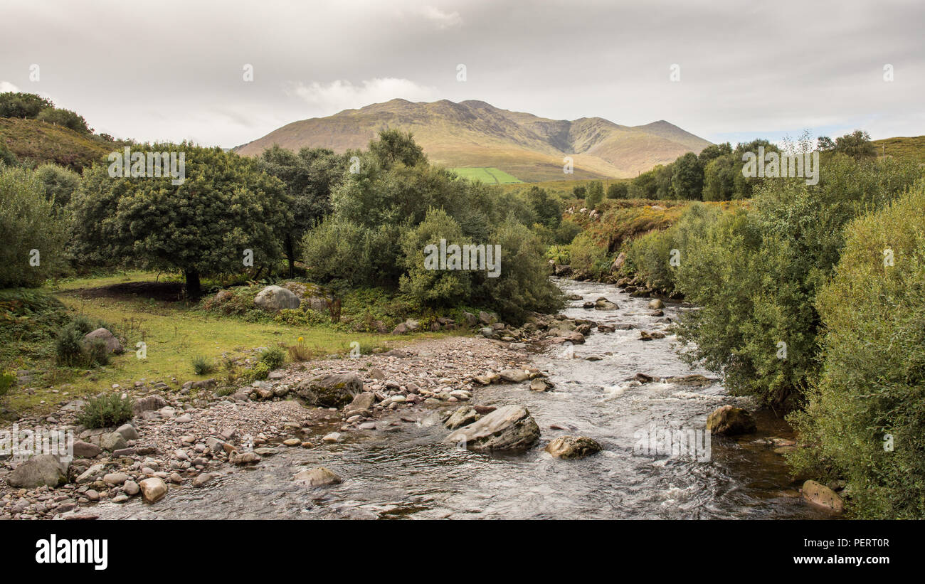 Un rocky mountain river s'écoule du Carrauntoohil, la plus haute montagne d'Irlande, et la plage Macgillycuddy Reeks, dans le comté de Kerry. Banque D'Images