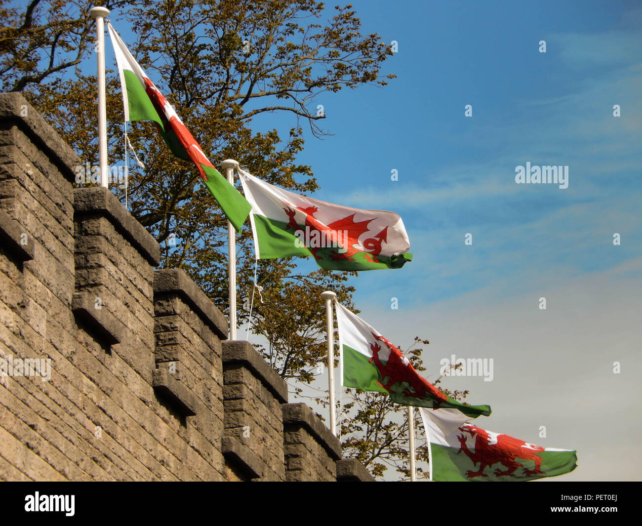 Drapeaux gallois du château de Cardiff dans le centre-ville Banque D'Images