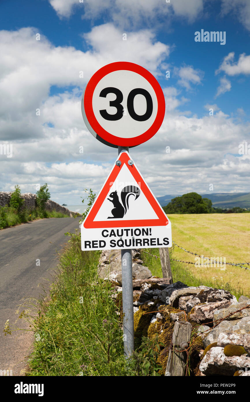 UK, Cumbria, Eden Valley, Nateby Attention Écureuils road warning sign Banque D'Images