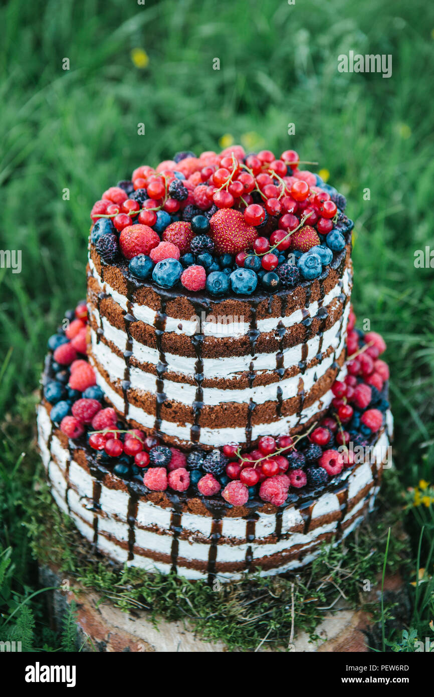 Un Gateau Ou Une Patisserie Pour Un Anniversaire Ou Une Maison De Vacances Ou D Un Parti Cake Aux Fruits Rouges Fraise Framboise Myrtille Myrtille Et L Aubepine Photo Stock Alamy