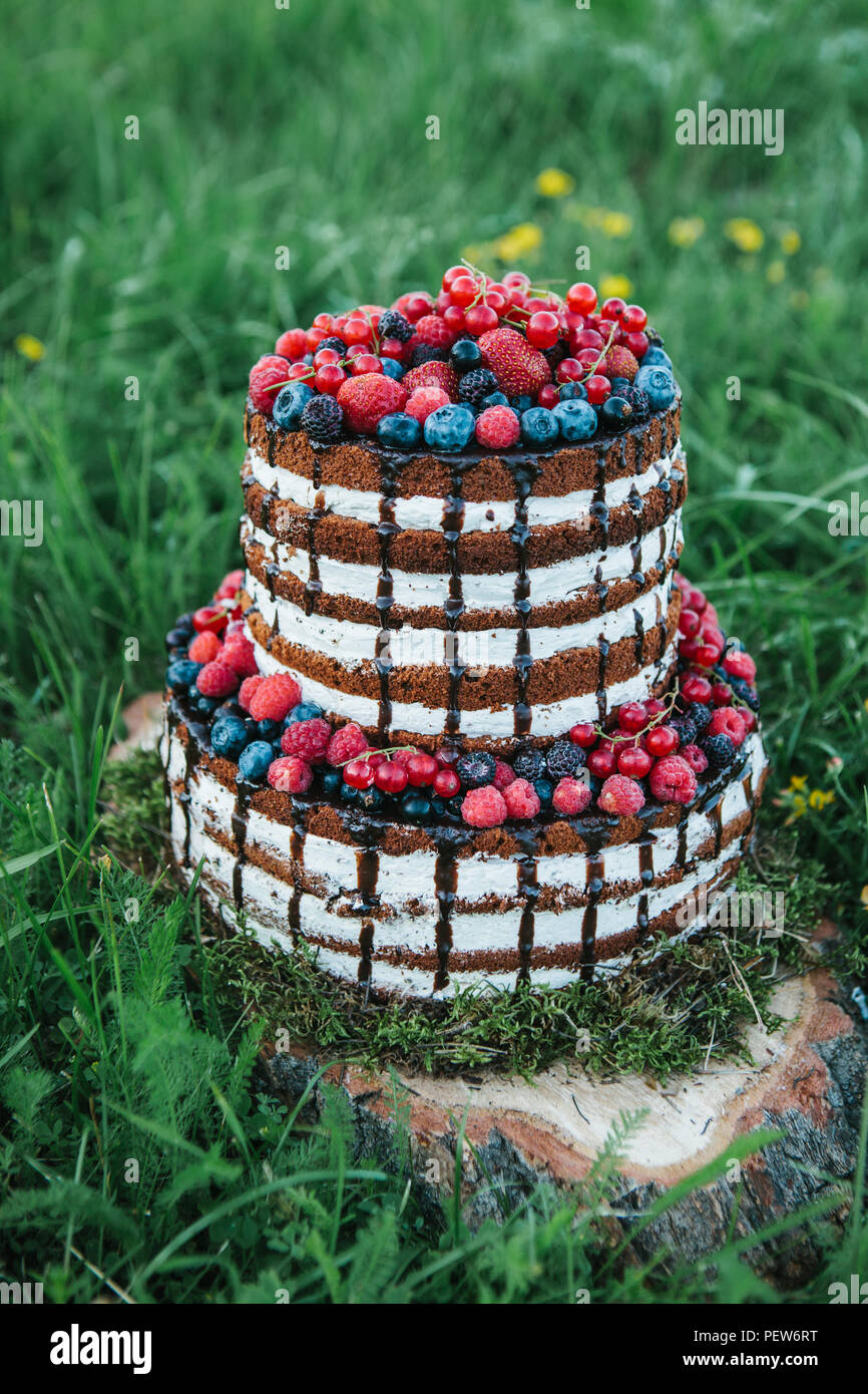 Un Gateau Ou Une Patisserie Pour Un Anniversaire Ou Une Maison De Vacances Ou D Un Parti Cake Aux Fruits Rouges Fraise Framboise Myrtille Myrtille Et L Aubepine Photo Stock Alamy