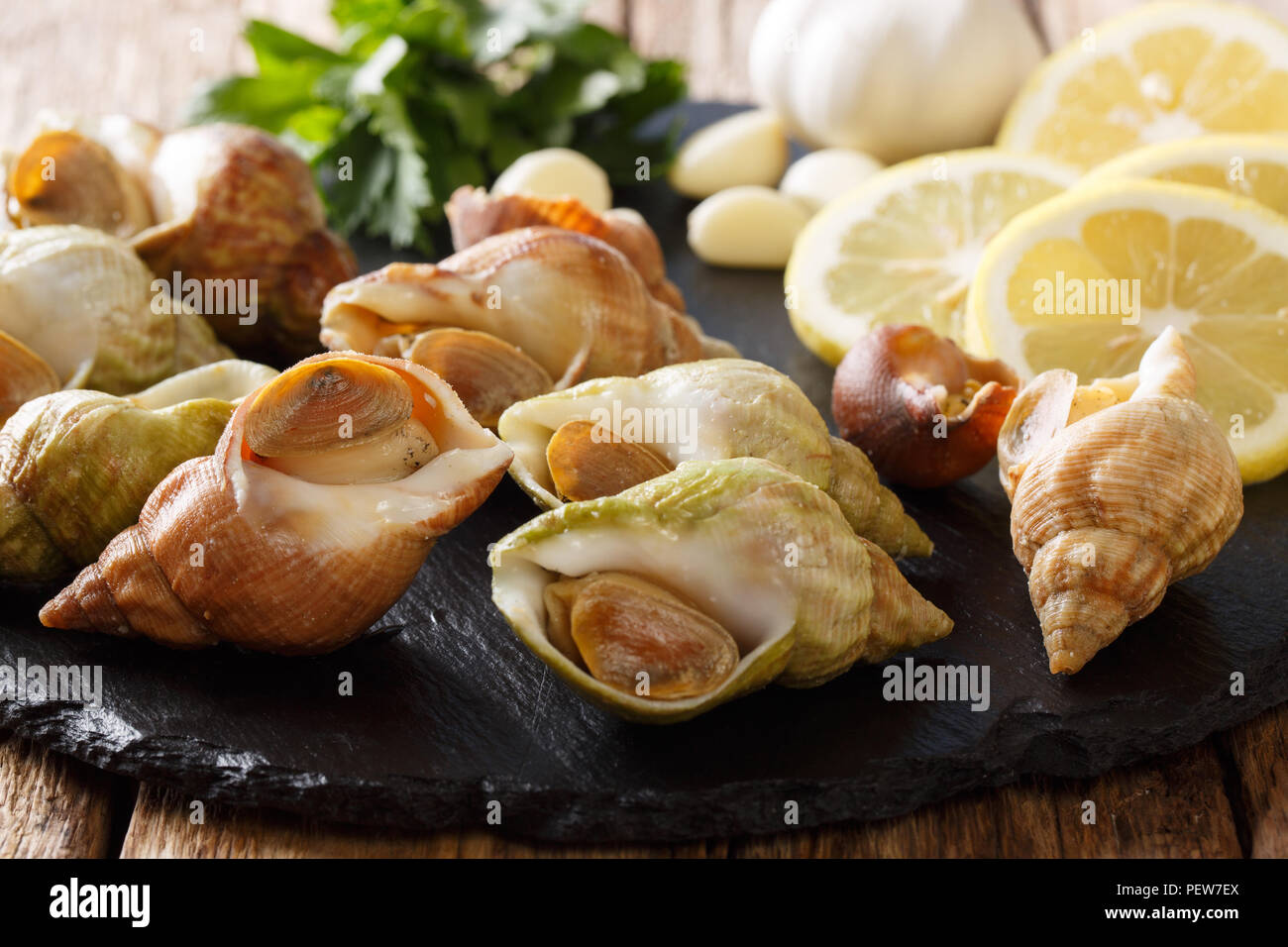 Épicerie fine food : matières buccin, escargots de mer bulot et ingrédients sur une liste de sélection sur une table. L'horizontale Banque D'Images