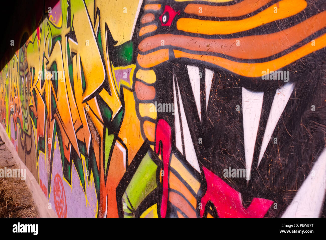 Paysage gros plan d'une image aux couleurs vives, graffity dans l'auge de la ville de Fribourg, en Suisse Banque D'Images