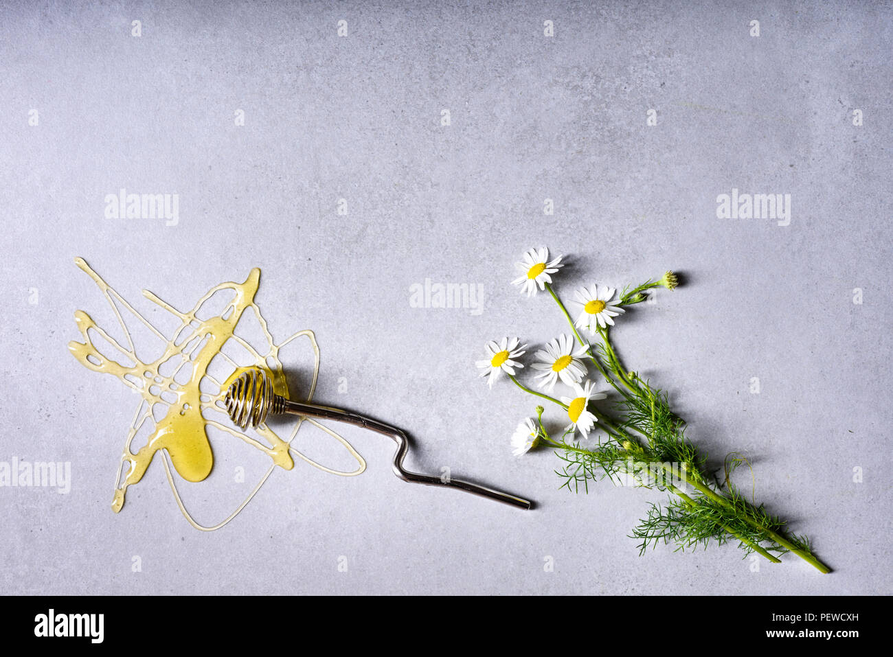 Ingrédients de cuisine saine. Miel frais avec un balancier et fleurs de camomille. Arrière-plan de béton gris. Voir ci-dessus. Banque D'Images