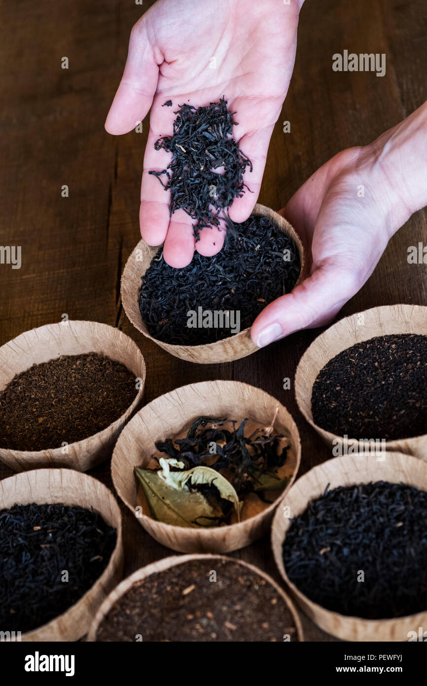 High angle close up d'une sélection de thés en feuilles dans de petits bols en bois. Banque D'Images