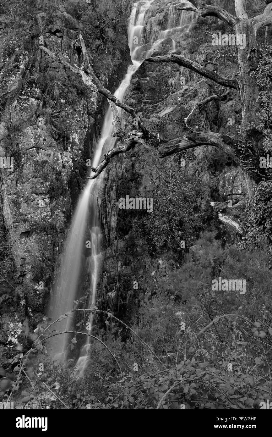 Cascade de Peneda Geres Leonte National Park, au nord du Portugal. Longue exposition. Converties en noir et blanc. Banque D'Images