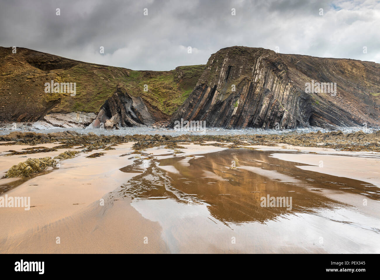 L'un des incroyables geoligical rock formations sur la plage de Sandymouth plage près de Bude en Cornouailles du Nord. Banque D'Images