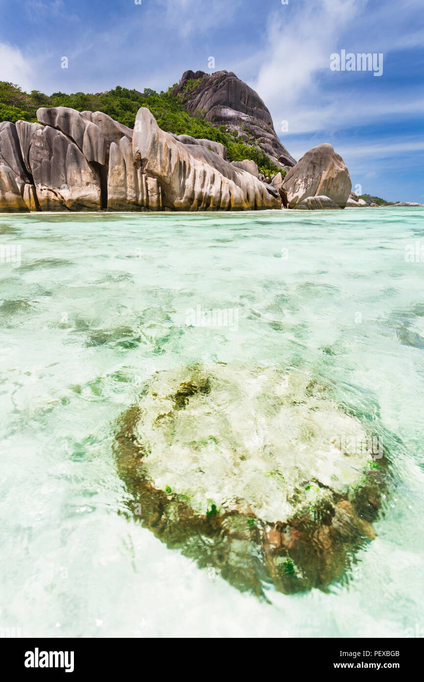 Un bloc de corail dans le lagon de l'Anse Source d'argent à la Digue, Seychelles à l'eau claire et les roches de granit pittoresque dans l'arrière-plan. Banque D'Images