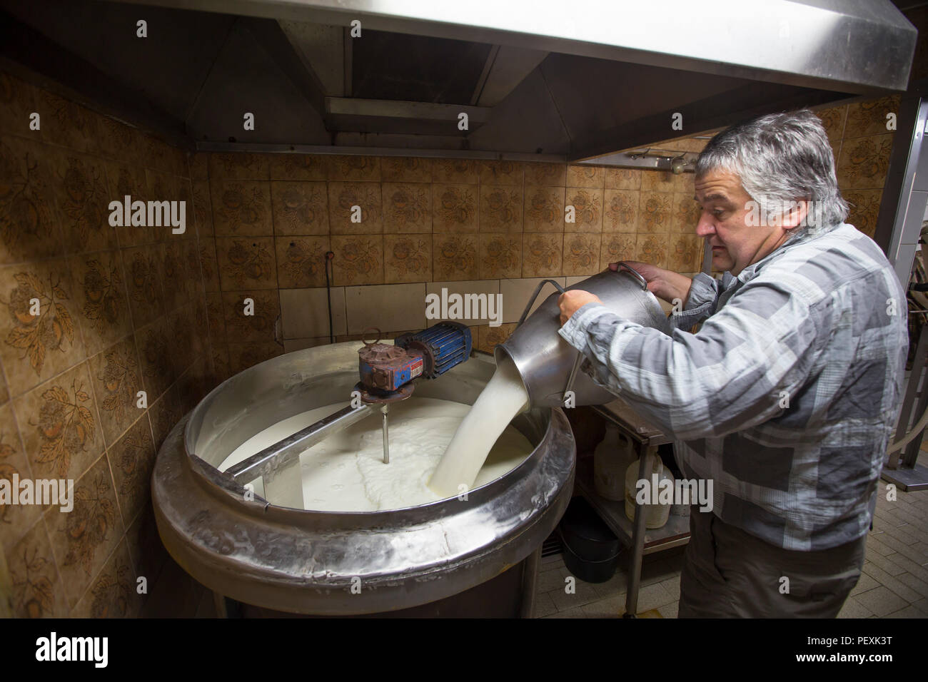 Ce fermier fromage de montagne, la Slovénie Bohinj Banque D'Images