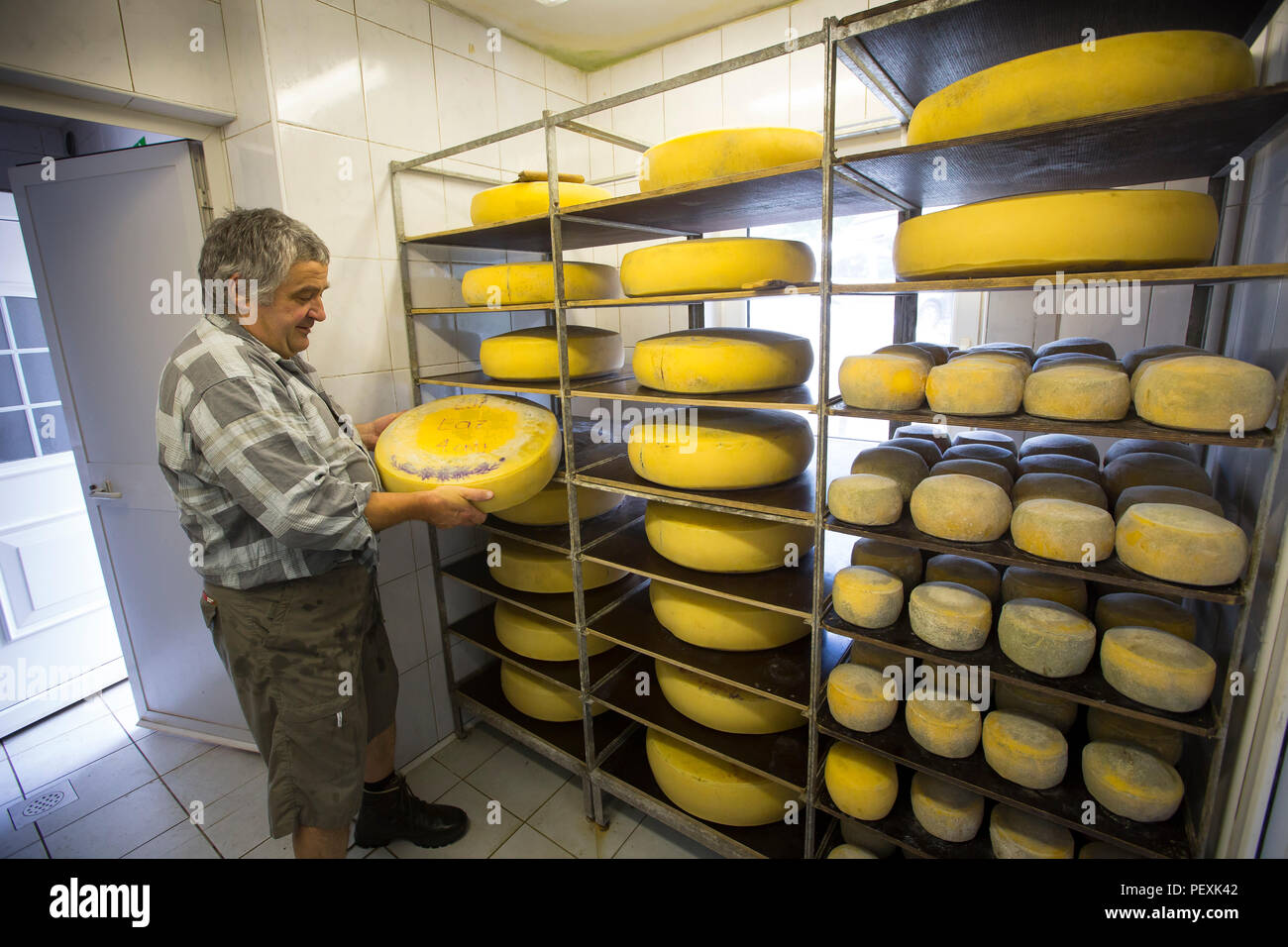 Ce fermier fromage de montagne, la Slovénie Bohinj Banque D'Images