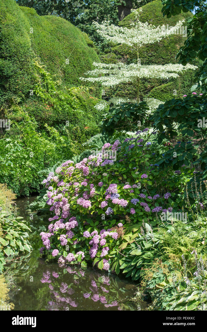 Dispositif de l'eau et de fleurs frontière à Melbourne Hall and Gardens, Derbyshire, Royaume-Uni Banque D'Images