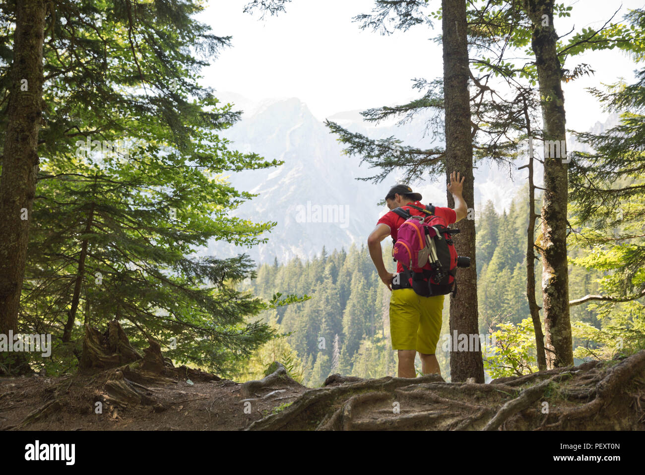 Jeune homme épuisé se penche contre un arbre dans une forêt de montagne, il est sur une montagne randonnée seul dans la forêt du Gesäuse en été. Banque D'Images