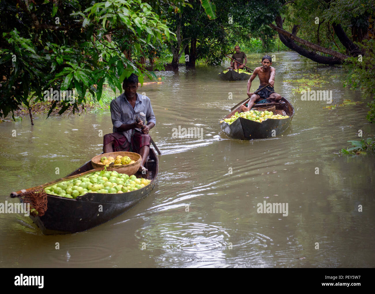 Marché flottant de goyave Banque D'Images