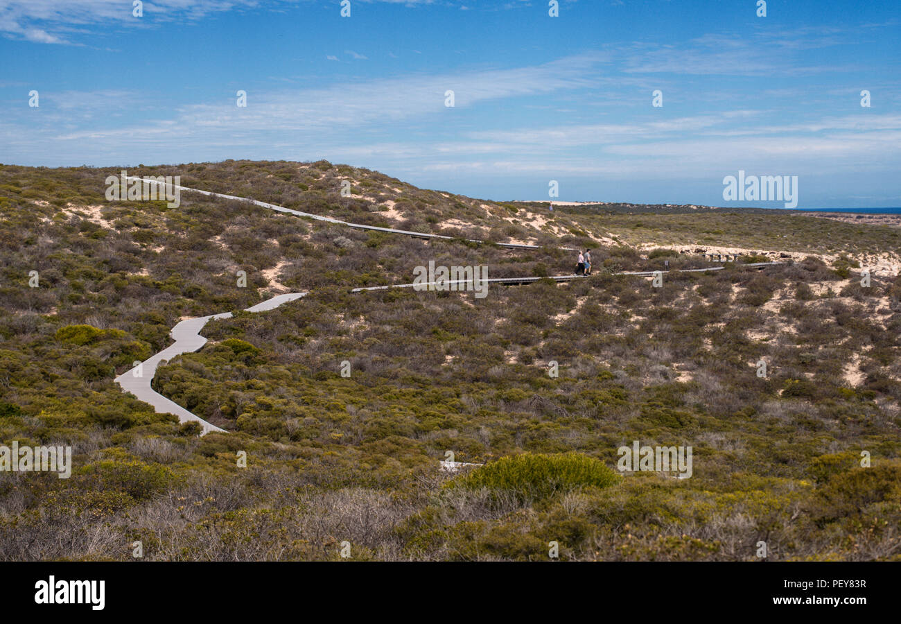 Un chemin en bois menant à travers la brousse à Kalbarri, Parc National, WA, Australie occidentale, l'Océanie, de l'Océan Indien Banque D'Images