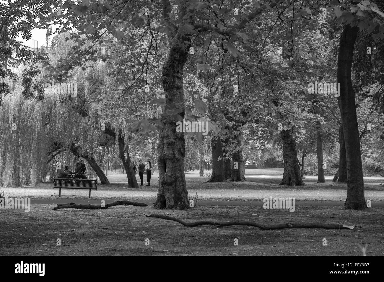 Manchester, Royaume-Uni - 21 juillet 2018 : la scène à Whitworth Park à Manchester par un après-midi d'été avec des gens s'amuser. Banque D'Images Manchester, Royaume-Uni - 21 juillet 2018 : la scène à Whitworth Park à Manchester par un après-midi d'été avec des gens s'amuser. Banque D'Images