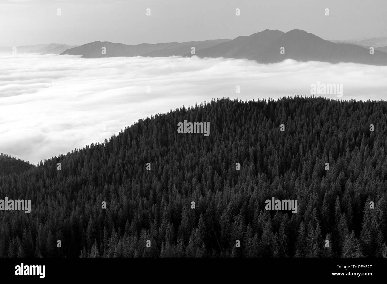 Brouillard dans les vallées des montagnes. Les photos en noir et blanc Banque D'Images