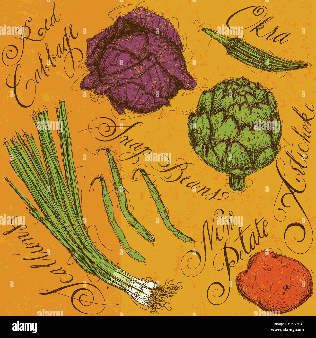 Légumes mélangés avec la calligraphie. Les légumes sont les oignons verts, l'okra, haricots, artichauts, chou rouge, et une nouvelle pomme de terre. Illustration de Vecteur