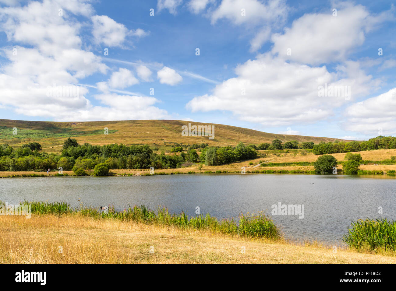 Garn Lacs réserve naturelle locale à Blaenavon, Galles, Royaume-Uni Banque D'Images