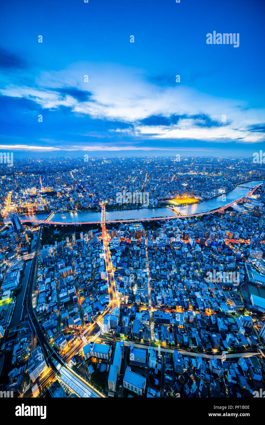 Concept d'affaires de l'Asie de l'immobilier et de la construction - Vue panoramique sur les toits de la ville urbaine vue aérienne sous ciel crépusculaire et néon nuit à Tokyo Banque D'Images