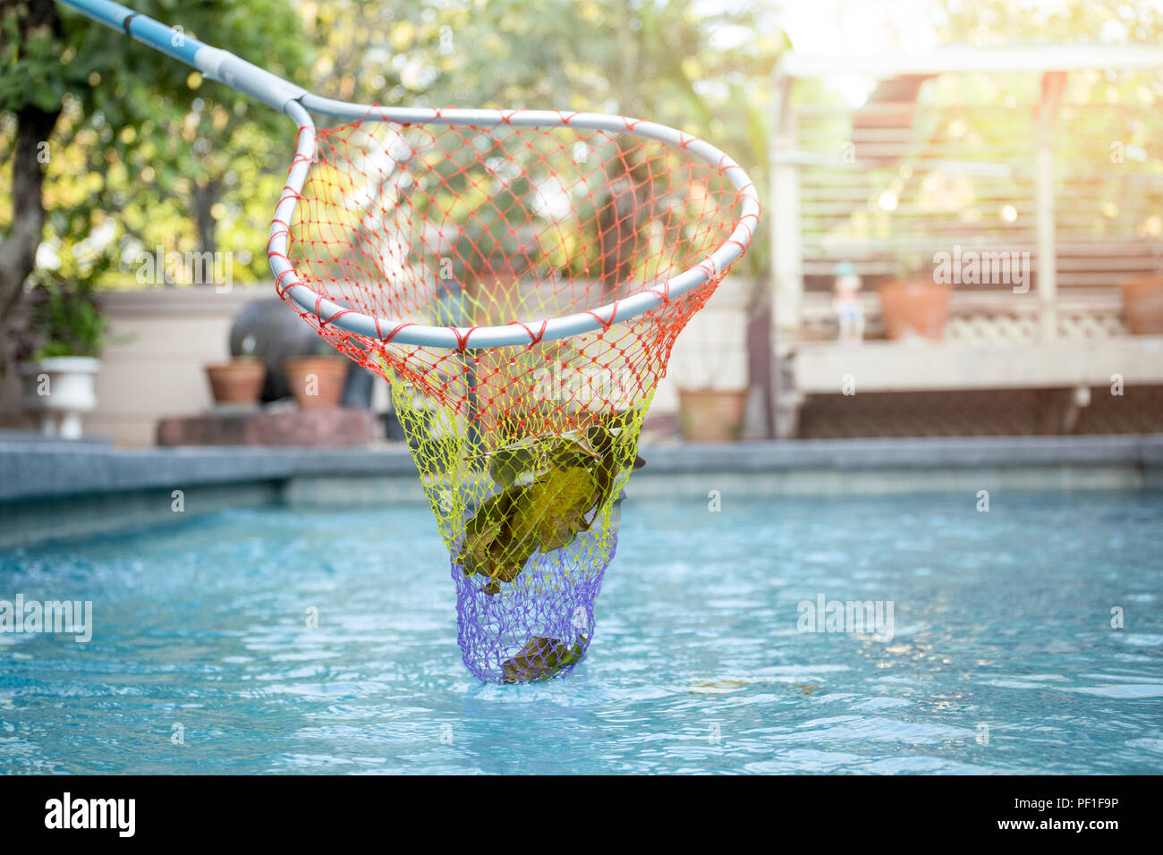 Piscine Nettoyage de feuilles tombées avec net Banque D'Images