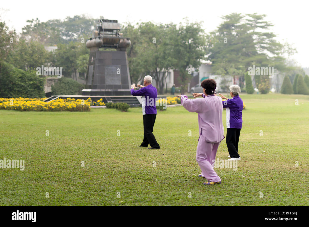 Les personnes âgées de faire des exercices de tai chi Banque D'Images