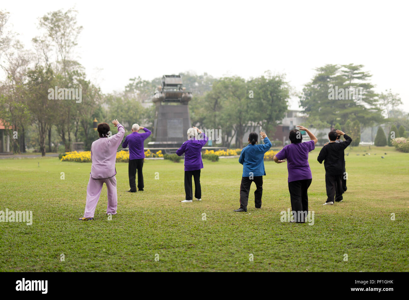 Les personnes âgées de faire des exercices de tai chi Banque D'Images