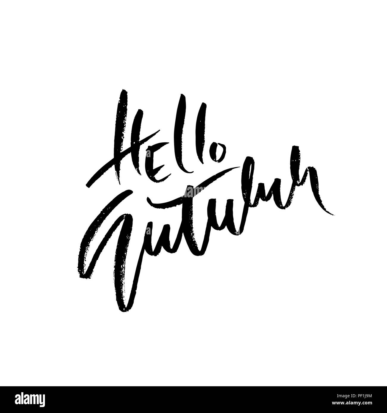 Bonjour automne lettrage dessiné à la main isolé sur fond blanc. Vector illustration. Brosse sèche typographie de l'affiche. Illustration de Vecteur
