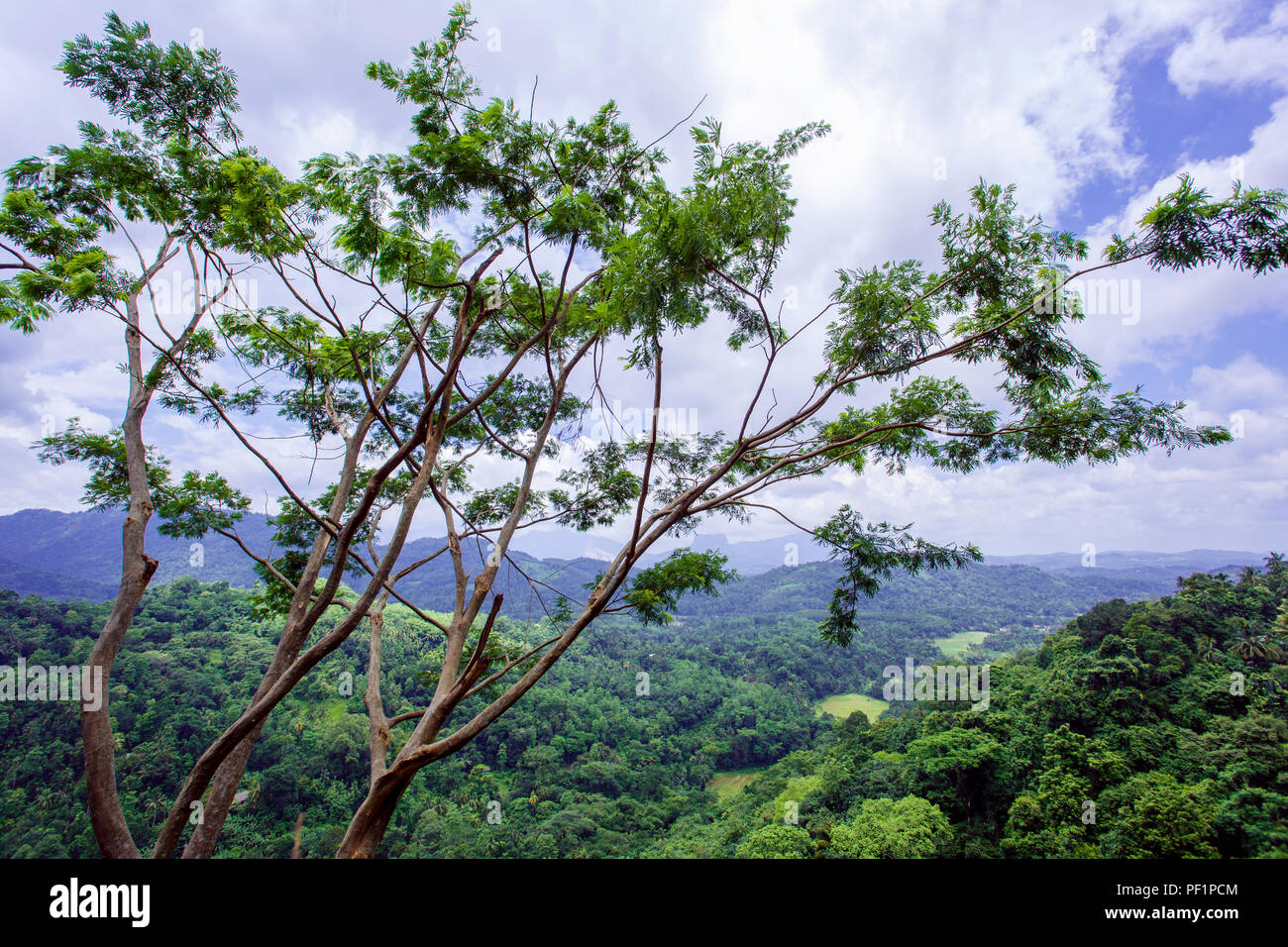 Vue sur la vallée dans la ville de Kandy. Le Sri Lanka. Banque D'Images