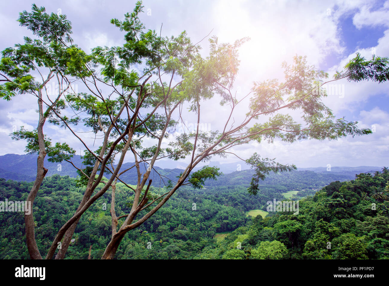 Vue sur la vallée dans la ville de Kandy. Le Sri Lanka. Banque D'Images