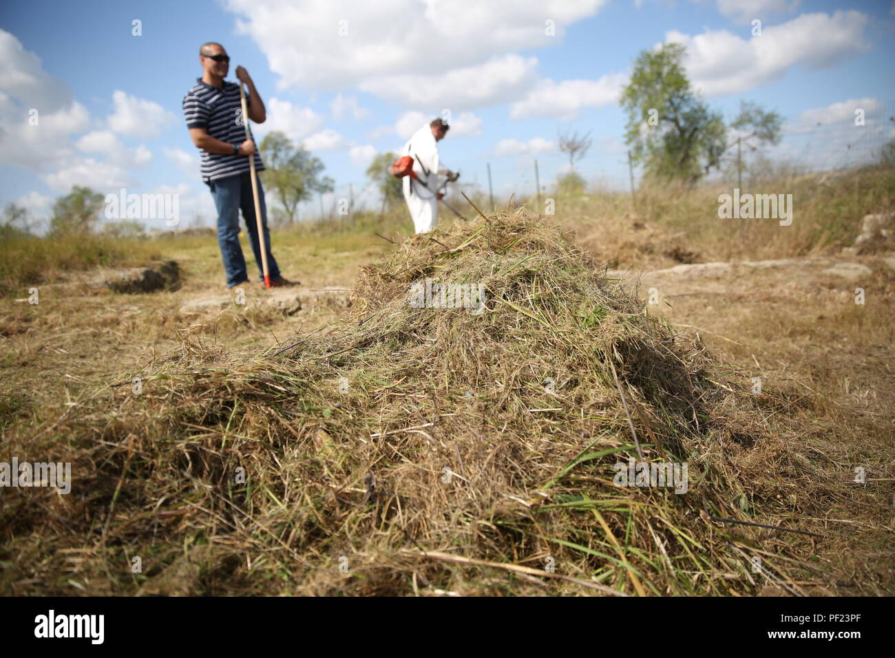 Les Marines et les marins avec l'outillage spécial air-sol marin crise Response-Africa Task Force de l'élément de combat de la logistique à l'herbe de râteau Villa Romana del Tellaro site archéologique, le 26 février, dans la région de Noto, Italie. Plus de 20 Marines et marins avec un SPMAGTF-CR-AF LCE offert leur temps couper l'herbe sur le site archéologique, une ancienne maison de campagne romaine pour la classe supérieure au cours de l'Empire romain, qui a marqué les relations communautaires 100e même les Marines et les marins avec le SPMAGTF-CR-AF ont participé pendant le déploiement. Le maire de Noto, Siracusa des représentants du gouvernement et une myri Banque D'Images
