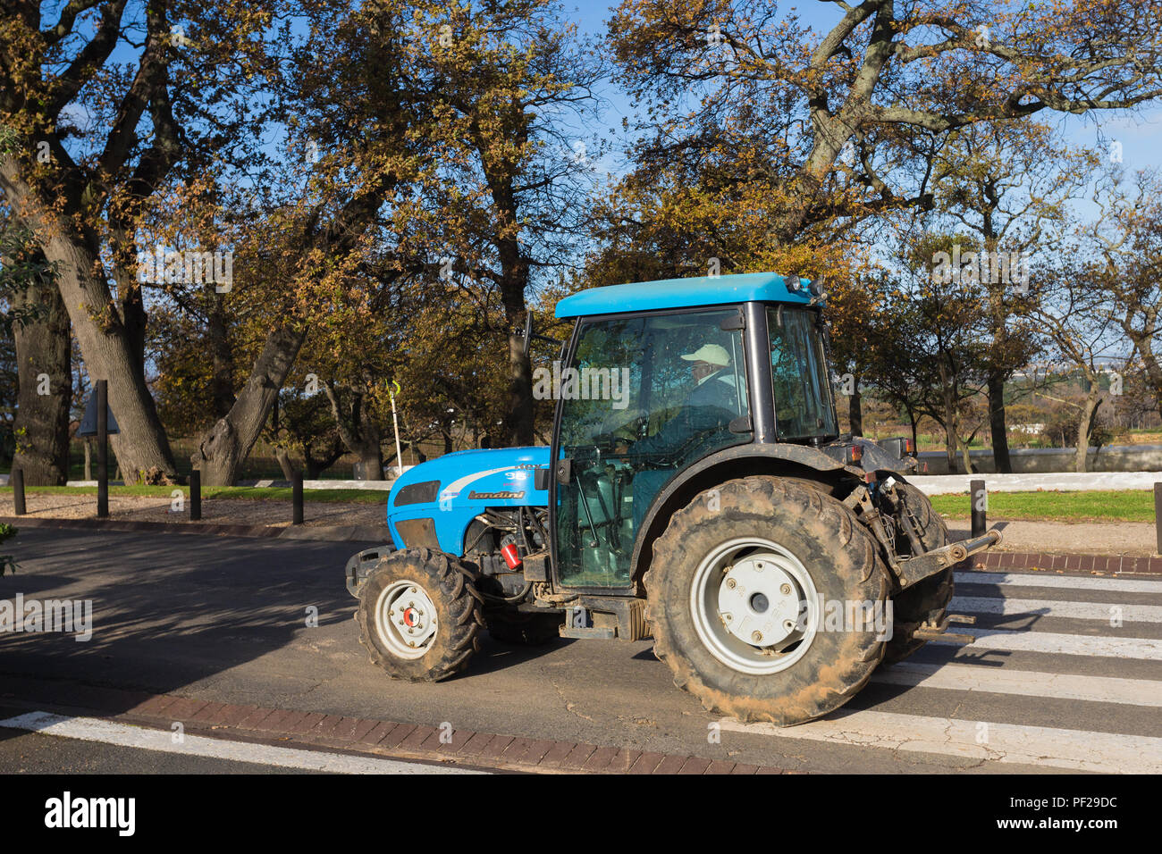Blue tracteur avec conducteur qui roule ou roulage sur route Banque D'Images