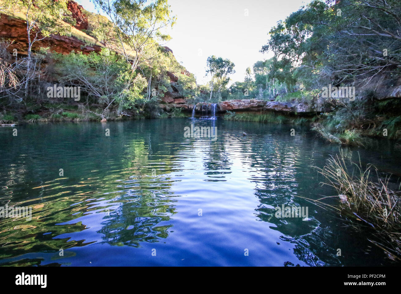 Chute d'eau qui coule au-dessus de la roche dans la paisible piscine de Fern Banque D'Images