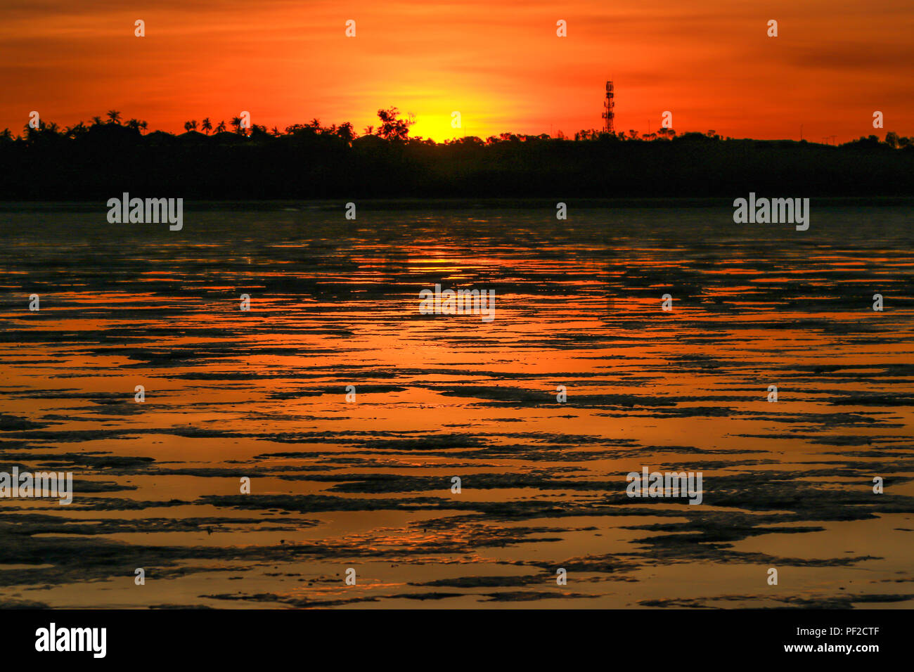 Le soleil se lève au-dessus des vasières de l'océan Banque D'Images
