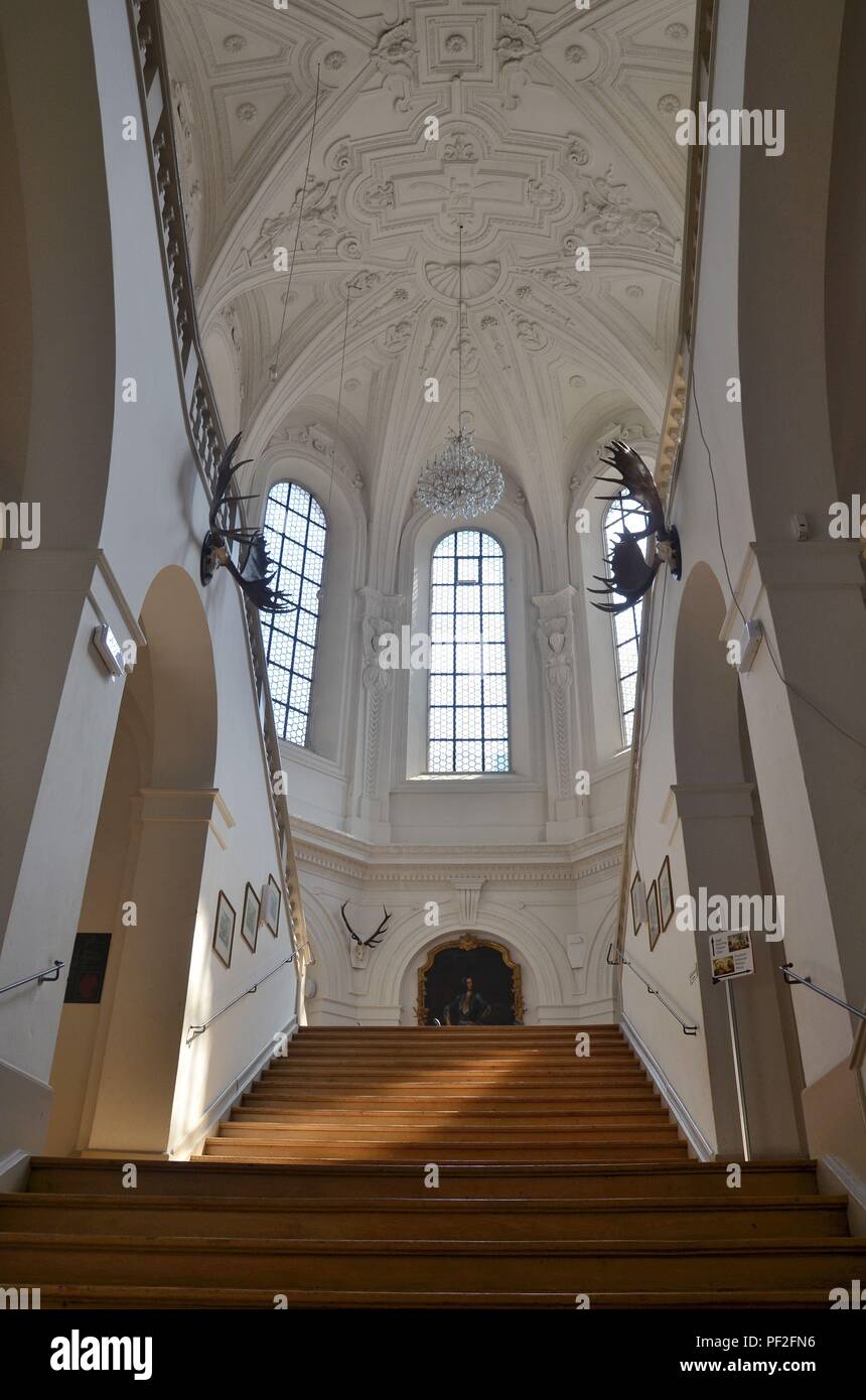 München, die Hauptstadt Bayerns (Deutschland) : Das Bayerische Jagd- und Fischereimuseum dans der ehemaligen Augustinerkirche Banque D'Images