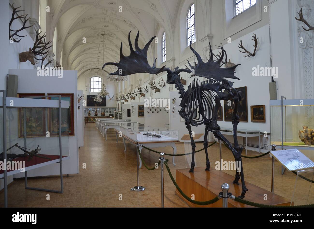 München, die Hauptstadt Bayerns (Deutschland) : Das Bayerische Jagd- und Fischereimuseum dans der ehemaligen Augustinerkirche Banque D'Images