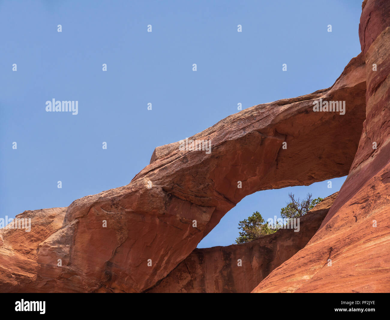 Passage de l'œil, Canyon de Rattlesnake, Black Ridge Wilderness Area, McInnis Canyons National Conservation Area, Grand Junction, Colorado. Banque D'Images