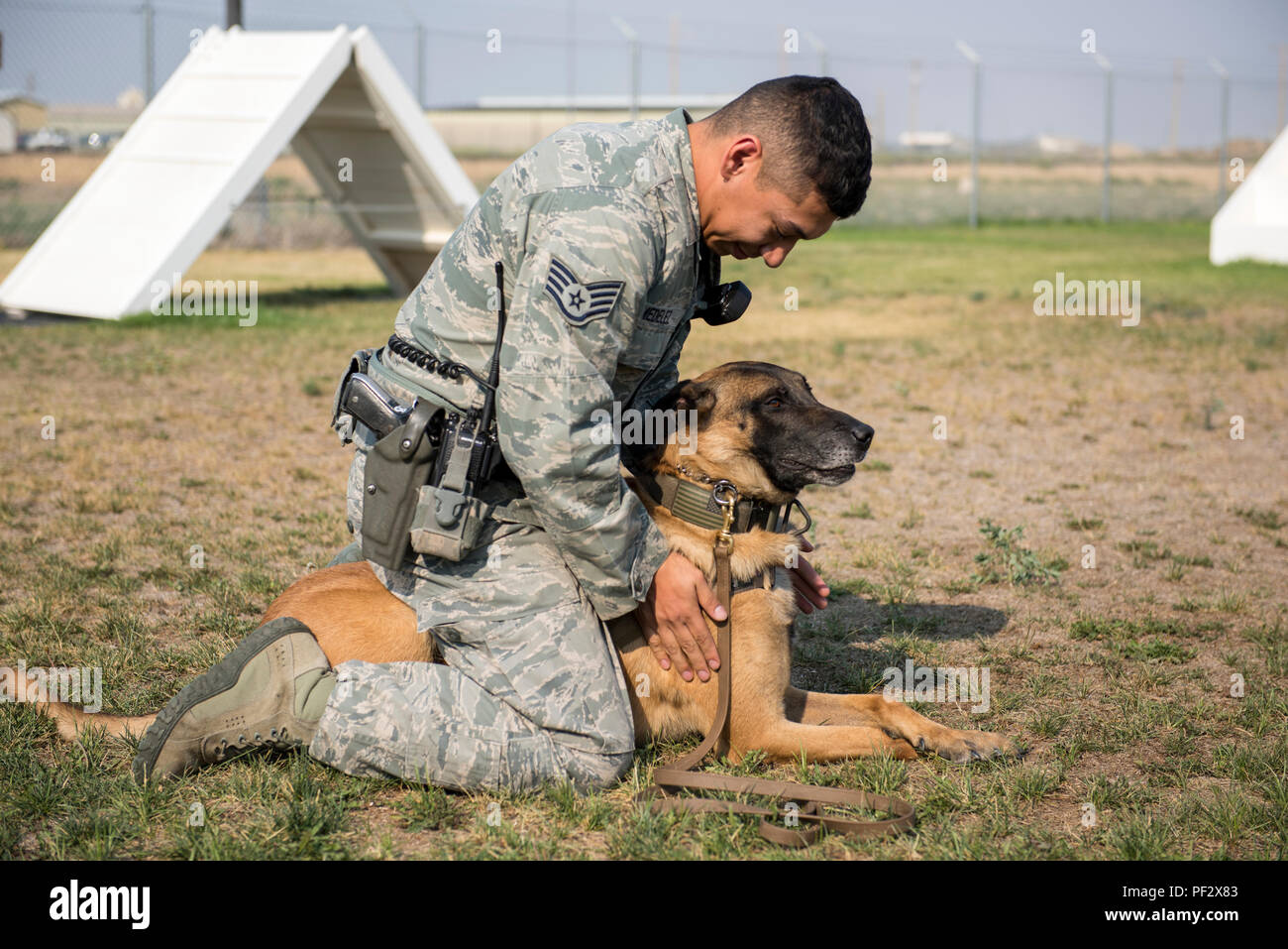 Le s.. Lucas, Medelez 366travail militaire des Forces de sécurité de chien, pats, Vvass 366FS chien de travail militaire, après une morsure demo 21 Août, 2015 à Mountain Home Air Force Base, Texas. Vvass a été le premier chien a été certifié le Medelez. (U.S. Photo de l'Armée de l'air par la Haute Airman Jeremy L. Mosier/libérés) Banque D'Images