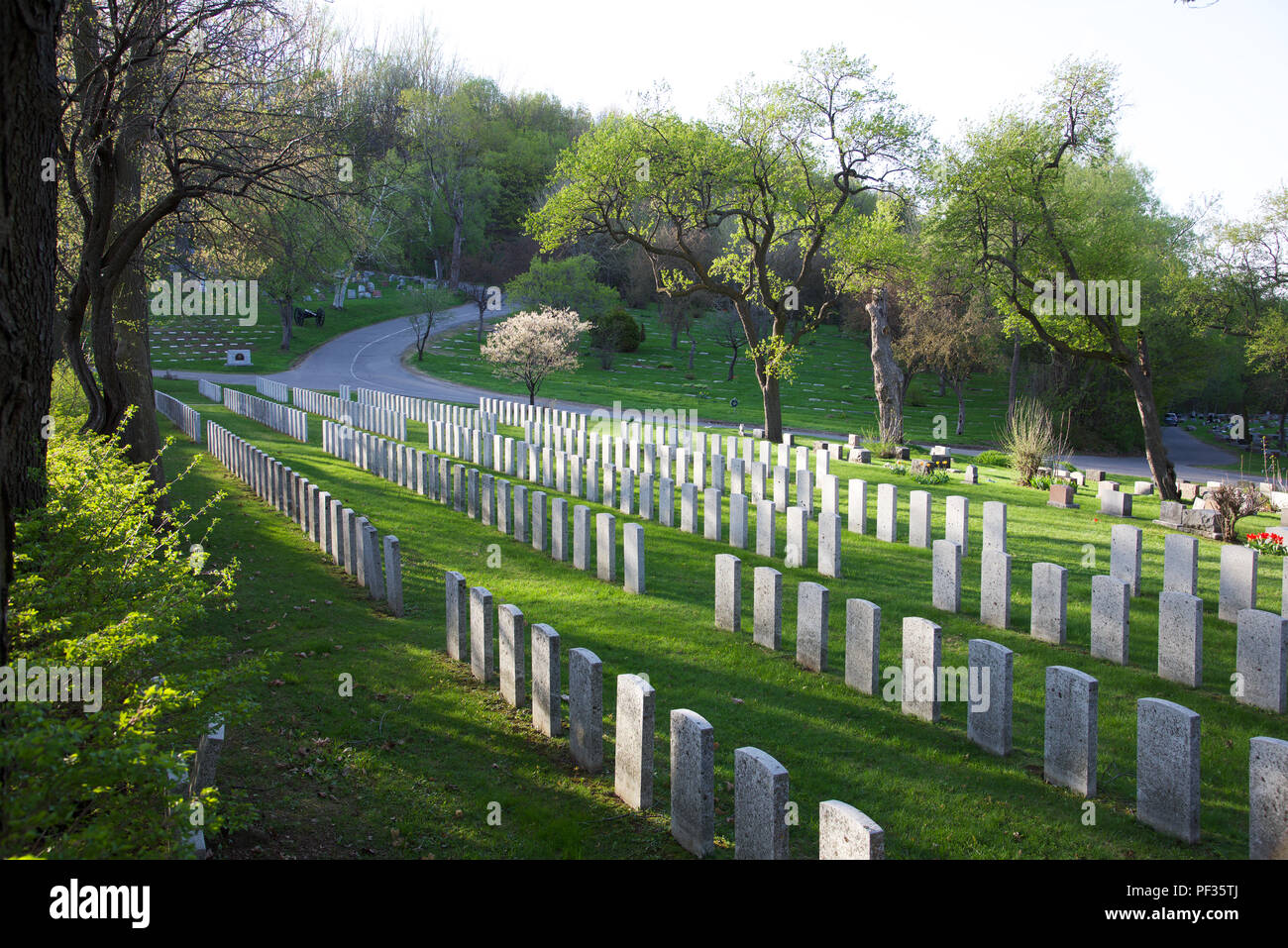 Lignes d'anciens combattants des croisements dans le cimetière du Mont  Royal Montréal Québec Canada Photo Stock - Alamy