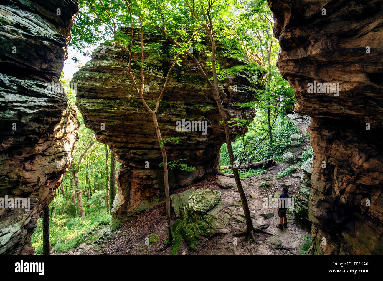 Personne debout près de grès massif rock formation - Indian Point Trail - Le Jardin des Dieux, Shawnee National Forest, Illinois, États-Unis Banque D'Images