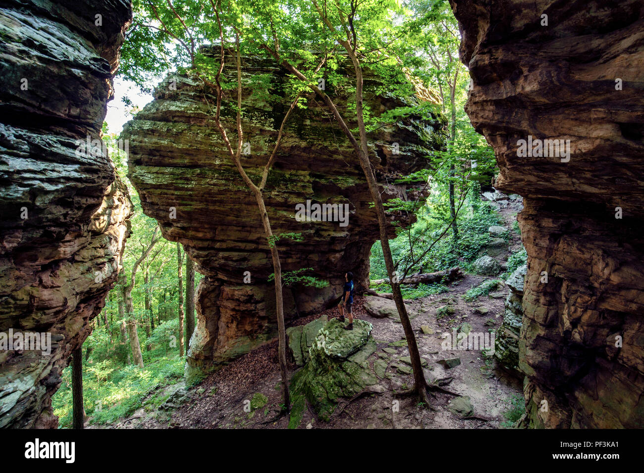 Personne debout près de grès massif rock formation - Indian Point Trail - Le Jardin des Dieux, Shawnee National Forest, Illinois, États-Unis Banque D'Images